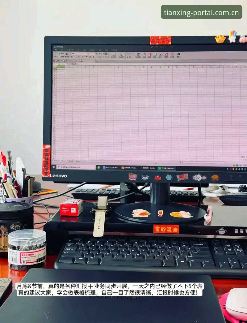 天行体育手机版2026新版深度分析：从下载到观赛的全流程指南